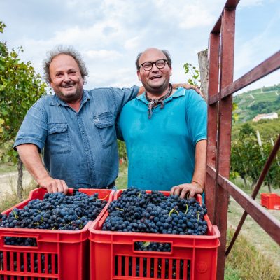 vinoveglio-biologico-fratelli-luigiemassimo1 dianodalba-piemonte-vino-barolo-vendemmia-dolcetto
